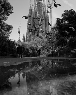 Black and white photography Sagrada Familia Reflexion