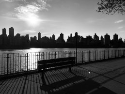 Black and white photography bench shadow view on Manhattan skyline