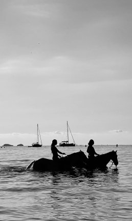 black and white photography two girls horses in the sea Corsica