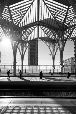 Black and white architectural photography oriente train station Santiago Calatrava