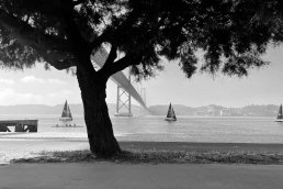 black and white photography boats Bridge Lisboa