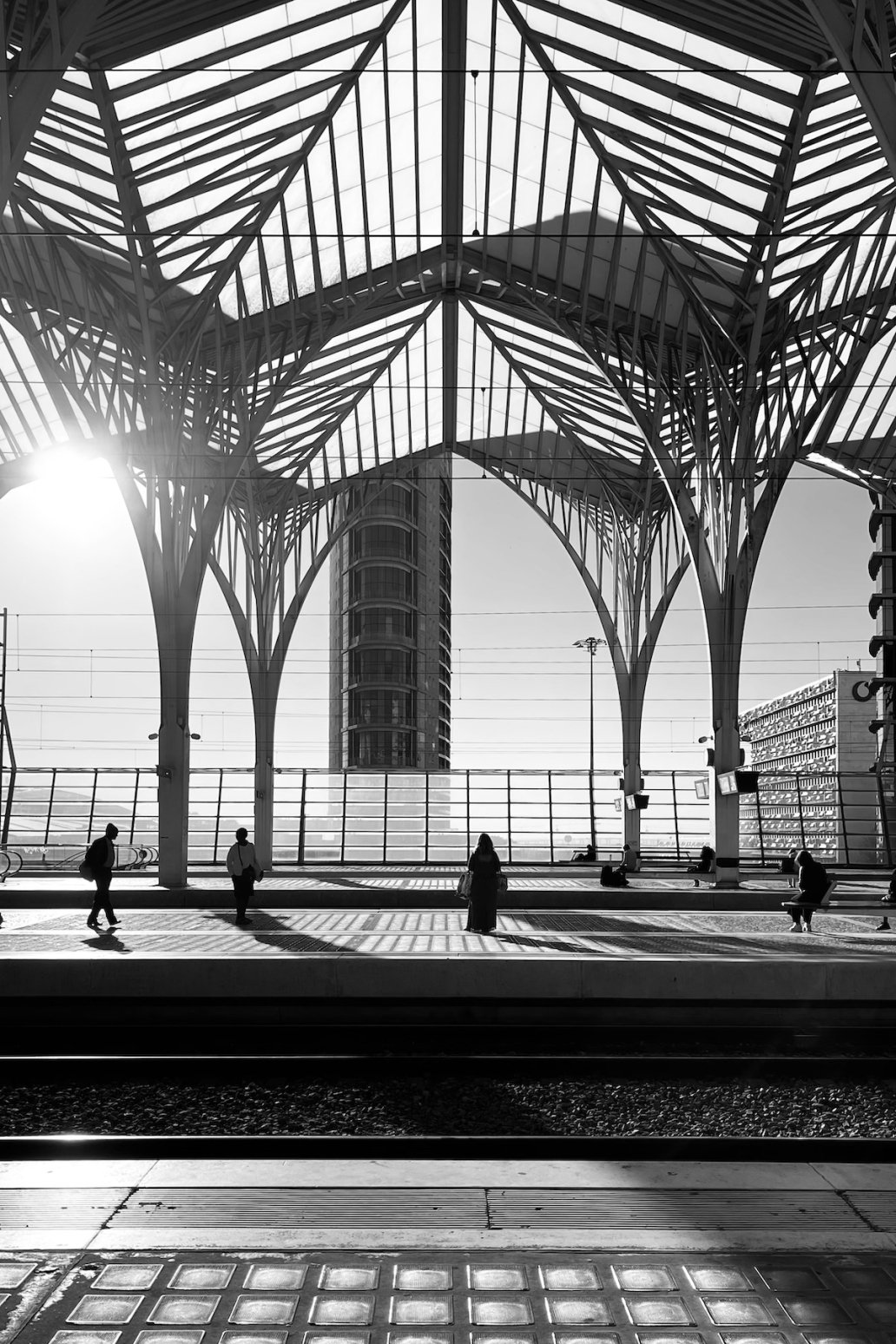 Architectural Photography black and white Santiago Calatrava Gare do Oriente Lisbon Oriente Station Photographer Sebastien Franca Fine Art
