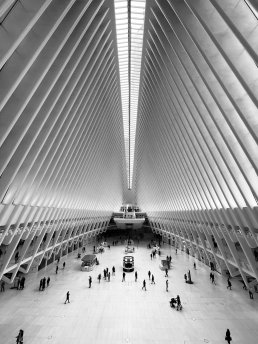 Oculus World Trade Center New York Santiago Calatrava Architectural Photographer Sebastien Franca Fine Art