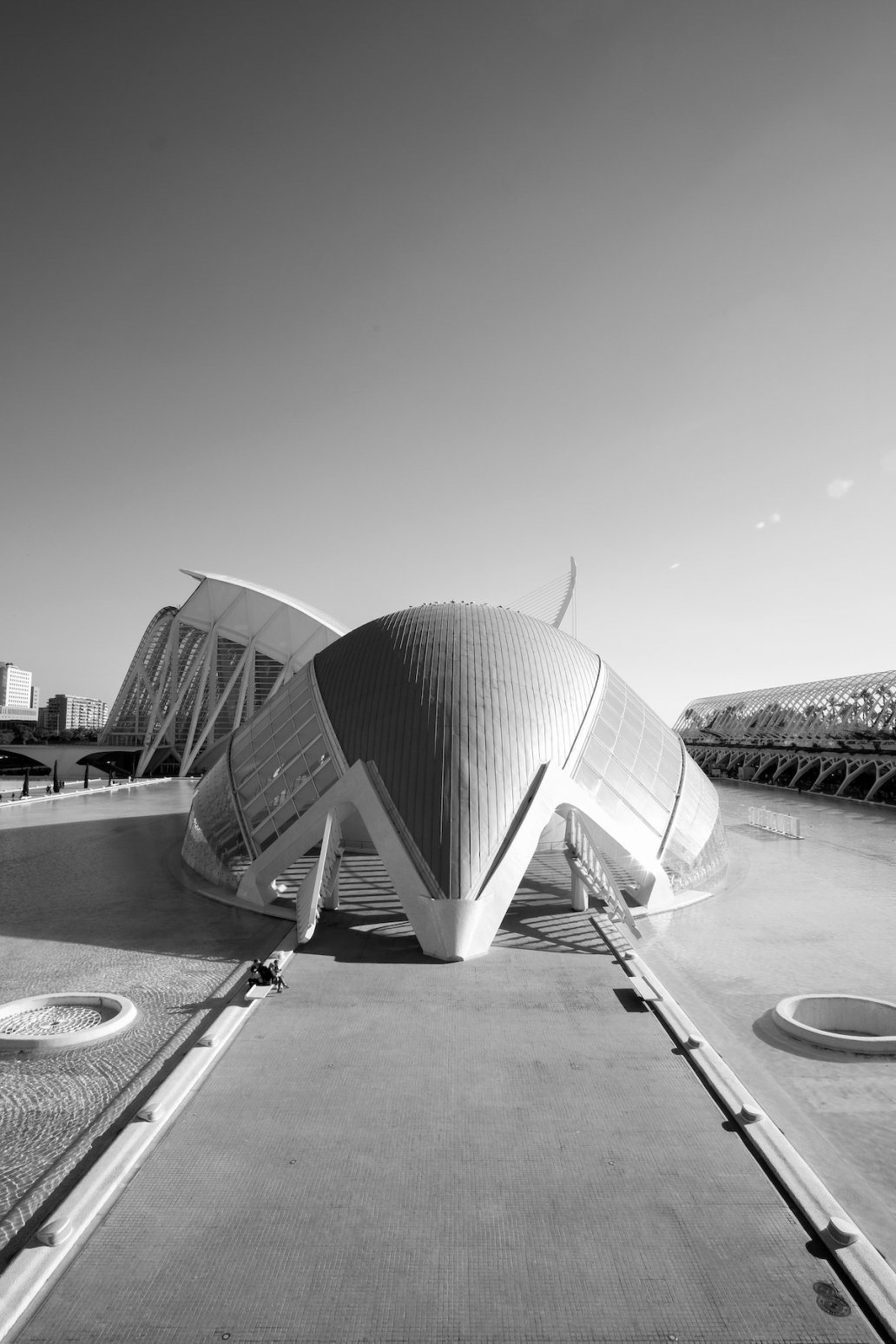 The city of arts and sciences Valencia Spain Santiago Calatrava Architectural Photographer Sebastien Franca Fine Art
