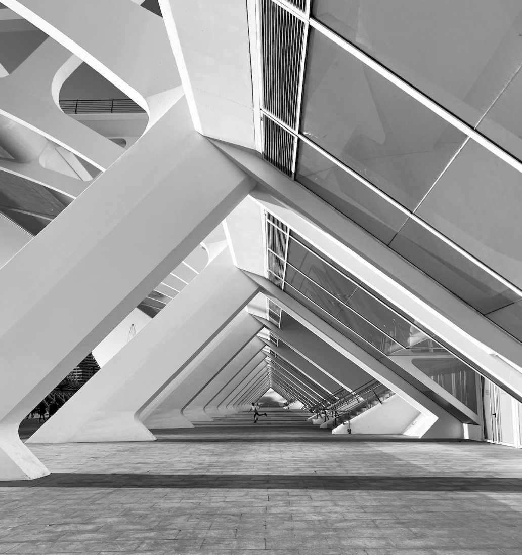 Architectural Photography The city of arts and sciences Valencia Spain Santiago Calatrava Architectural Photographer Sebastien Franca Fine Art