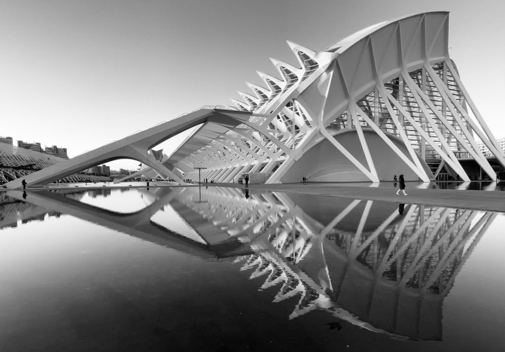 The city of arts and sciences Valencia Spain Santiago Calatrava Architectural Photographer Sebastien Franca Fine Art 120