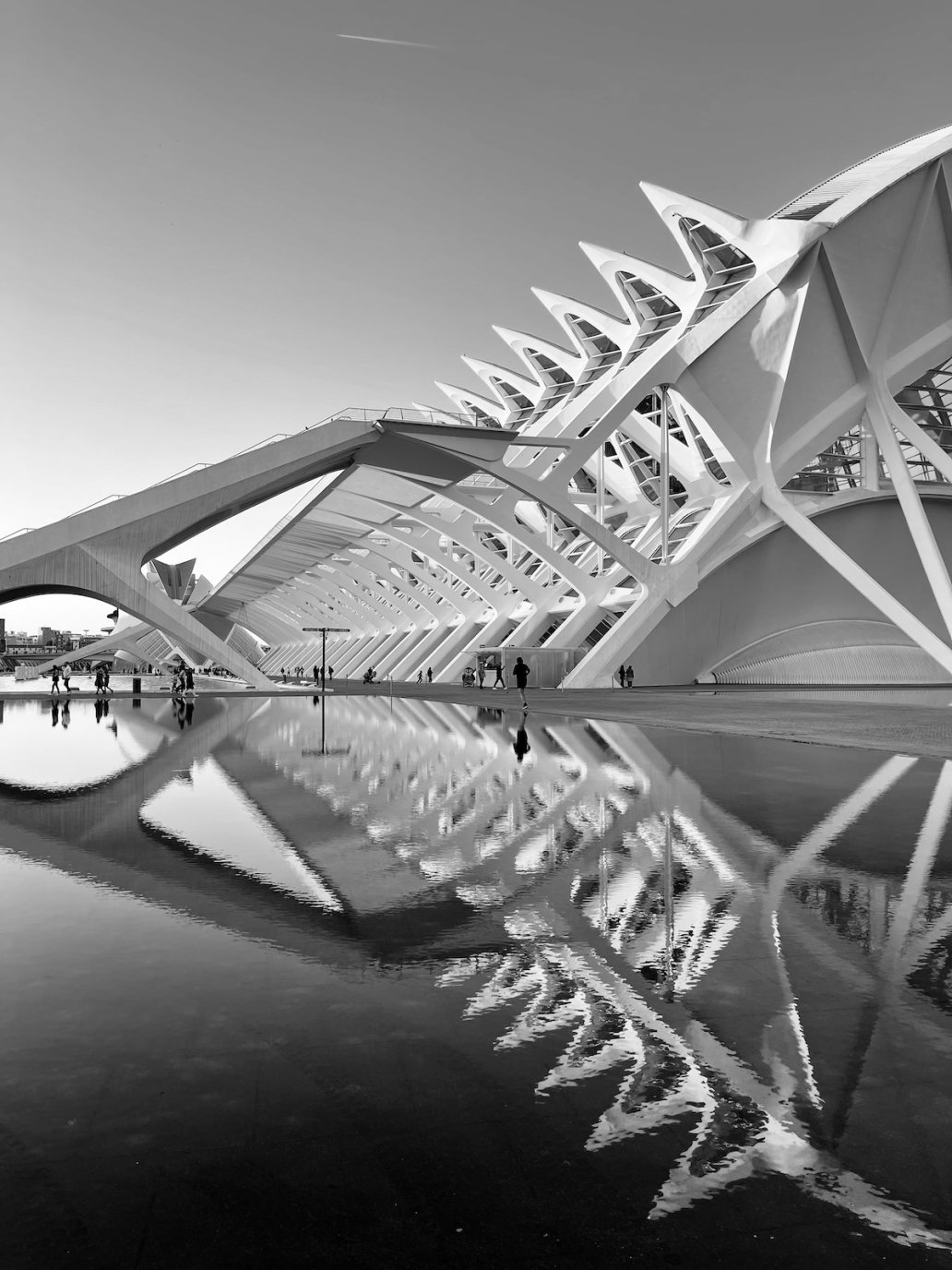 The city of arts and sciences Valencia Spain Santiago Calatrava Architectural Photographer Sebastien Franca Fine Art 2
